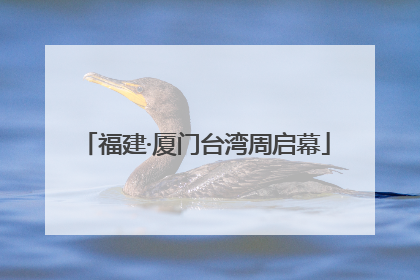 福建·厦门台湾周启幕