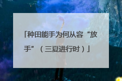 种田能手为何从容“放手”（三夏进行时）
