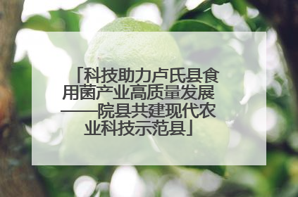 科技助力卢氏县食用菌产业高质量发展——院县共建现代农业科技示范县
