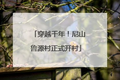 穿越千年！尼山鲁源村正式开村