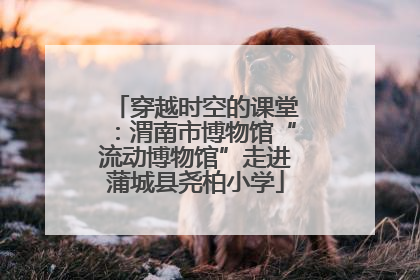 穿越时空的课堂：渭南市博物馆“流动博物馆”走进蒲城县尧柏小学