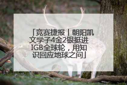 竞赛捷报丨朝阳凯文学子4金2银挺进IGB全球轮，用知识回应地球之问