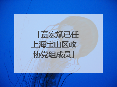 章宏斌已任上海宝山区政协党组成员