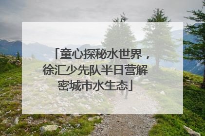 童心探秘水世界，徐汇少先队半日营解密城市水生态