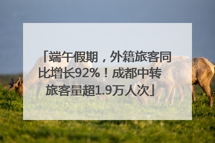 端午假期，外籍旅客同比增长92%！成都中转旅客量超1.9万人次