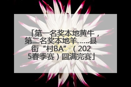 第一名奖本地黄牛，第二名奖本地羊……县街“村BA”（2025春季赛）圆满完赛
