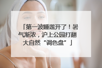 第一波睡莲开了！暑气渐浓，沪上公园打翻大自然“调色盘”