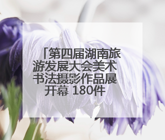 第四届湖南旅游发展大会美术书法摄影作品展开幕 180件佳作点燃岳阳文旅爆点