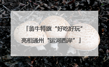 翁牛特旗“好吃好玩”亮相通州“运河西岸”