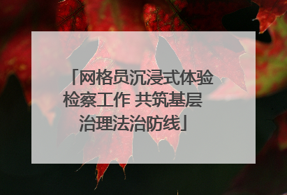 网格员沉浸式体验检察工作 共筑基层治理法治防线