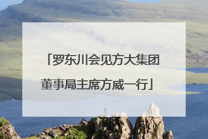 罗东川会见方大集团董事局主席方威一行