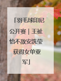 羽毛球印尼公开赛｜王祉怡不敌安洗莹 获得女单亚军
