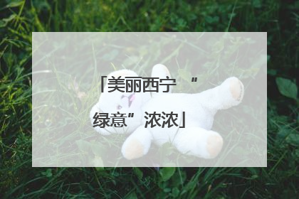 美丽西宁 “绿意”浓浓