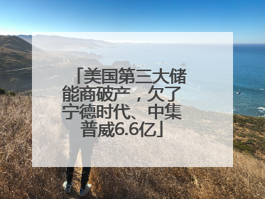 美国第三大储能商破产，欠了宁德时代、中集普威6.6亿