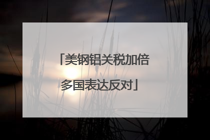 美钢铝关税加倍 多国表达反对