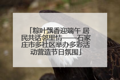粽叶飘香迎端午 居民共话邻里情——石家庄市多社区举办多彩活动营造节日氛围