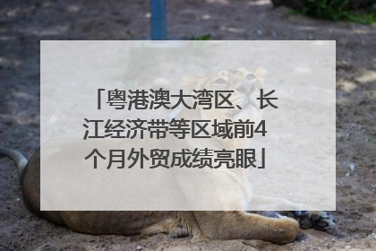 粤港澳大湾区、长江经济带等区域前4个月外贸成绩亮眼