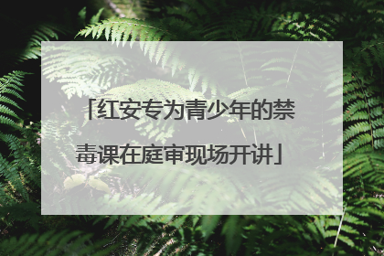 红安专为青少年的禁毒课在庭审现场开讲