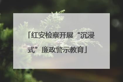 红安检察开展“沉浸式”廉政警示教育
