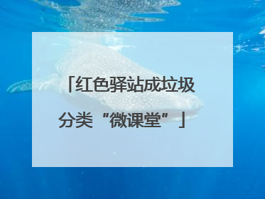 红色驿站成垃圾分类“微课堂”