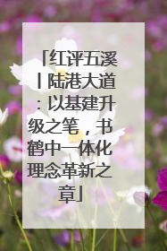 红评五溪丨陆港大道：以基建升级之笔，书鹤中一体化理念革新之章