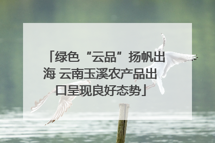 绿色“云品”扬帆出海 云南玉溪农产品出口呈现良好态势