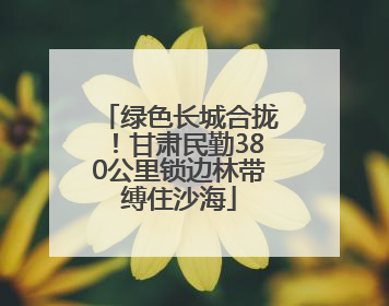 绿色长城合拢！甘肃民勤380公里锁边林带缚住沙海