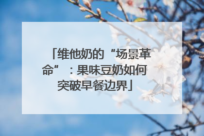 维他奶的“场景革命”：果味豆奶如何突破早餐边界
