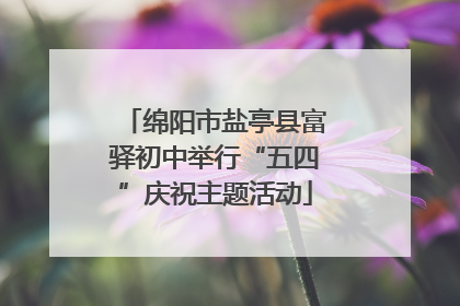 绵阳市盐亭县富驿初中举行“五四”庆祝主题活动