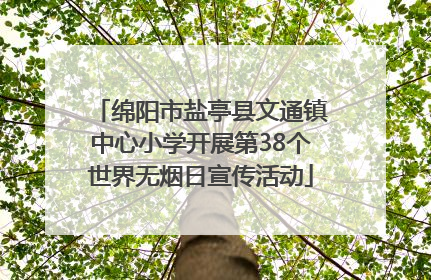绵阳市盐亭县文通镇中心小学开展第38个世界无烟日宣传活动