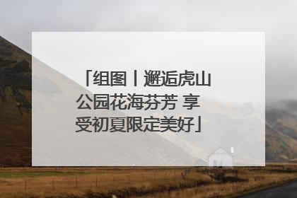 组图丨邂逅虎山公园花海芬芳 享受初夏限定美好