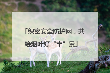 织密安全防护网，共绘烟叶好“丰”景