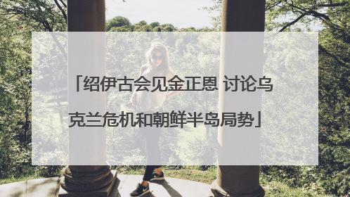 绍伊古会见金正恩 讨论乌克兰危机和朝鲜半岛局势