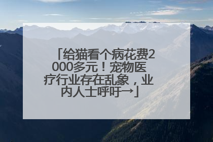 给猫看个病花费2000多元！宠物医疗行业存在乱象，业内人士呼吁→