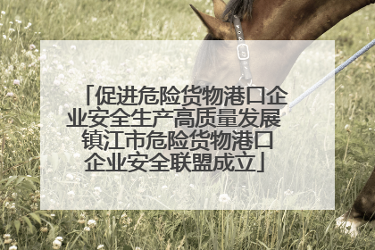 促进危险货物港口企业安全生产高质量发展 镇江市危险货物港口企业安全联盟成立