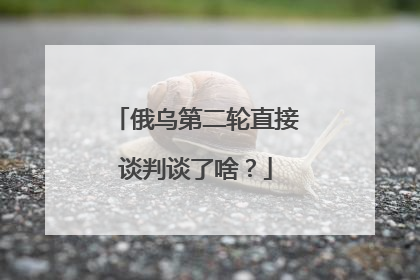 俄乌第二轮直接谈判谈了啥？