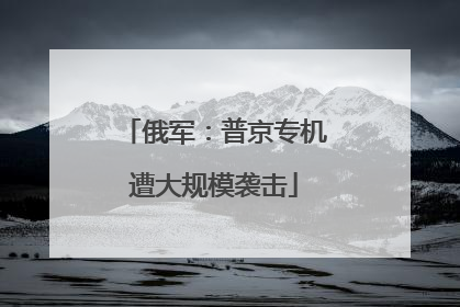 俄军：普京专机遭大规模袭击