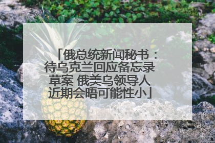 俄总统新闻秘书：待乌克兰回应备忘录草案 俄美乌领导人近期会晤可能性小