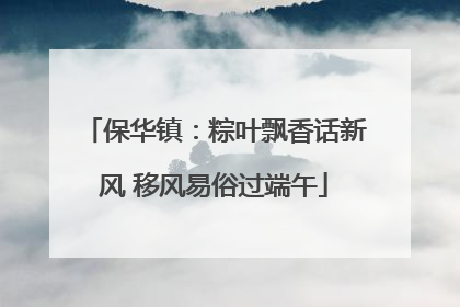 保华镇：粽叶飘香话新风 移风易俗过端午