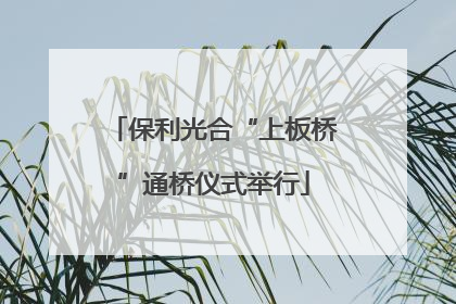 保利光合“上板桥”通桥仪式举行