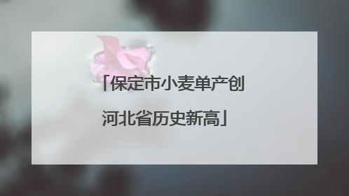 保定市小麦单产创河北省历史新高