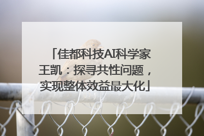 佳都科技AI科学家王凯：探寻共性问题，实现整体效益最大化