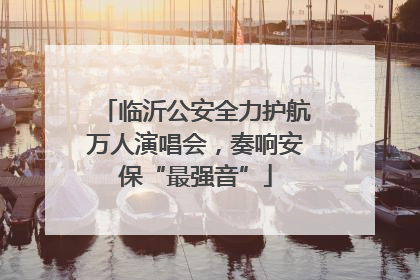 临沂公安全力护航万人演唱会，奏响安保“最强音”
