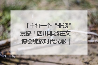 主打一个“非遗”震撼！四川非遗在文博会绽放时代光彩｜文博向“新”