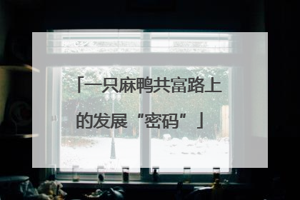 一只麻鸭共富路上的发展“密码”