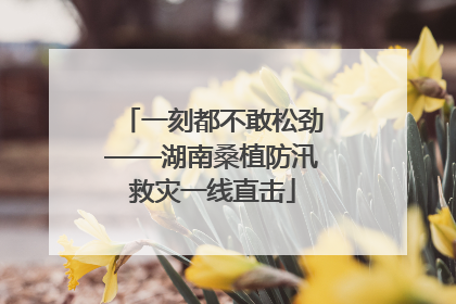 一刻都不敢松劲——湖南桑植防汛救灾一线直击