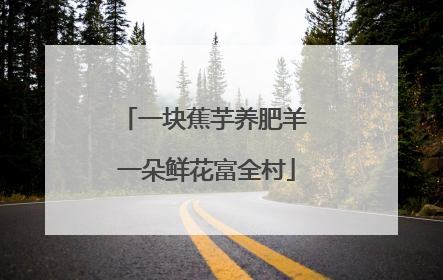 一块蕉芋养肥羊 一朵鲜花富全村