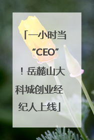 一小时当“CEO”！岳麓山大科城创业经纪人上线