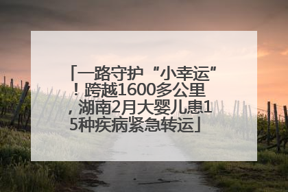 一路守护“小幸运”！跨越1600多公里，湖南2月大婴儿患15种疾病紧急转运