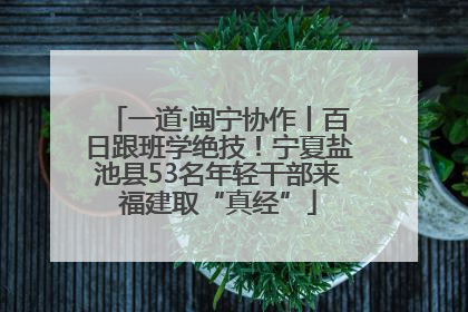 一道·闽宁协作丨百日跟班学绝技！宁夏盐池县53名年轻干部来福建取“真经”
